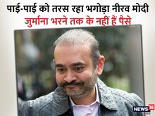 पाई-पाई को तरस रहा भगोड़ा नीरव मोदी, जेल में कर्ज लेकर चला रहा मुकदमे का खर्च