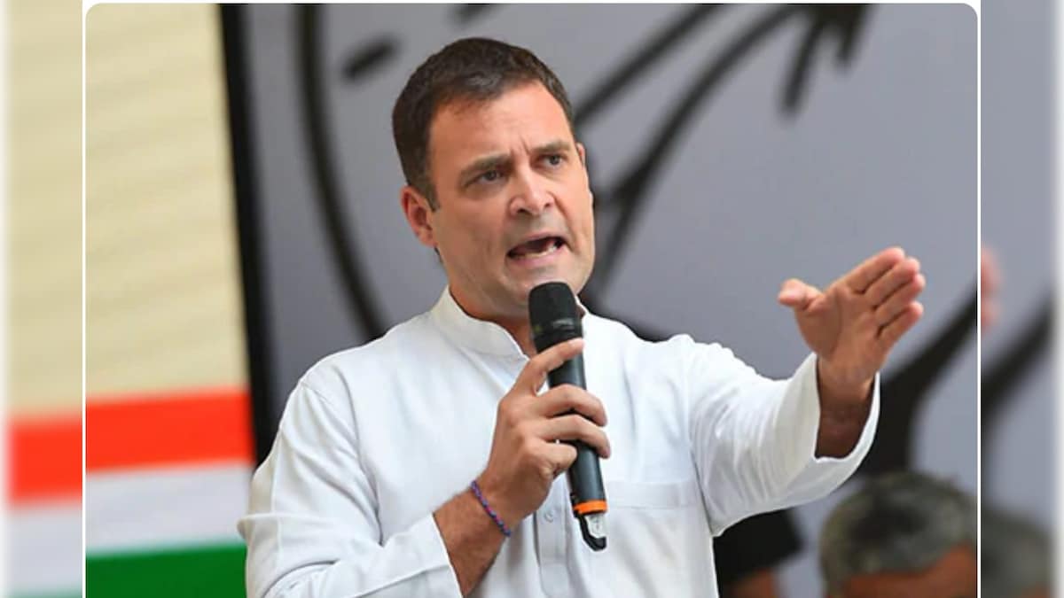 अमेरिका राहुल गांधी के अदालती मामले पर नज़र रख रहा है? अमेरिकी सरकार के अधिकारी ने खुद बताया