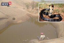 OMG: जानिए रांची में मौजूद 'नागों के तालाब' का इतिहास, श्रद्धालु करते है बेखौफ स्नान