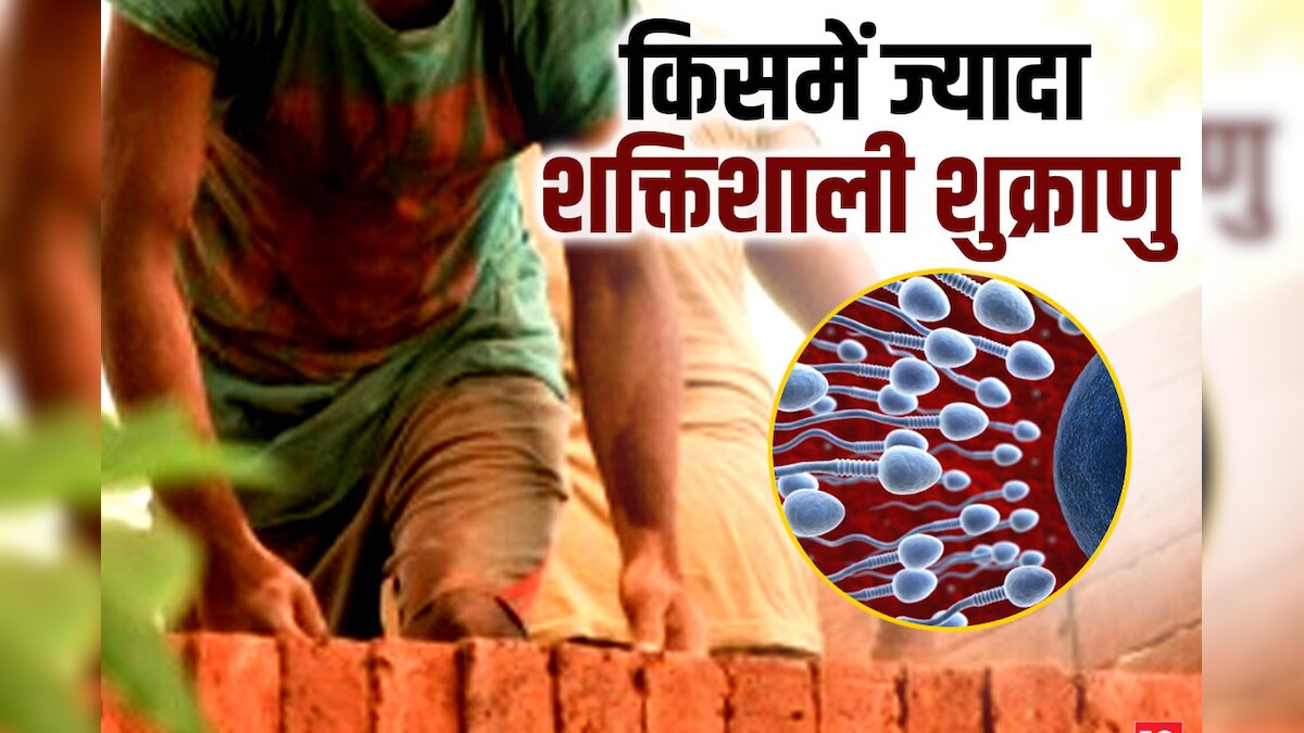 लाजवाब होता है ऐसा काम करने वाले मर्दों का स्पर्म काउंट, रिसर्च से आराम पसंद लोगों की खुल जाएंगी आंखें