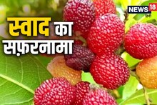 Journey of taste: kafal keeps stomach diseases away, this mountain fruit is full of antioxidants, the history is interesting