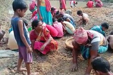 OMG: नदी किनारे मिला सोना, खबर सुनते ही तलाश में उमड़ा जनसैलाब