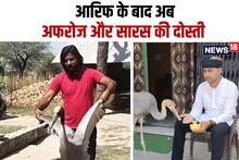 ये Dosti हम नहीं छोड़ेंगे, आर‍िफ के बाद अब अफरोज, जानें बड़ी द‍िलचस्‍प है सारस से फ्रेंडश‍िप की कहानी