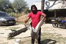 सारस के दोस्त आरिफ से 2 अप्रैल को नहीं होगी पूछताछ, जानें वजह