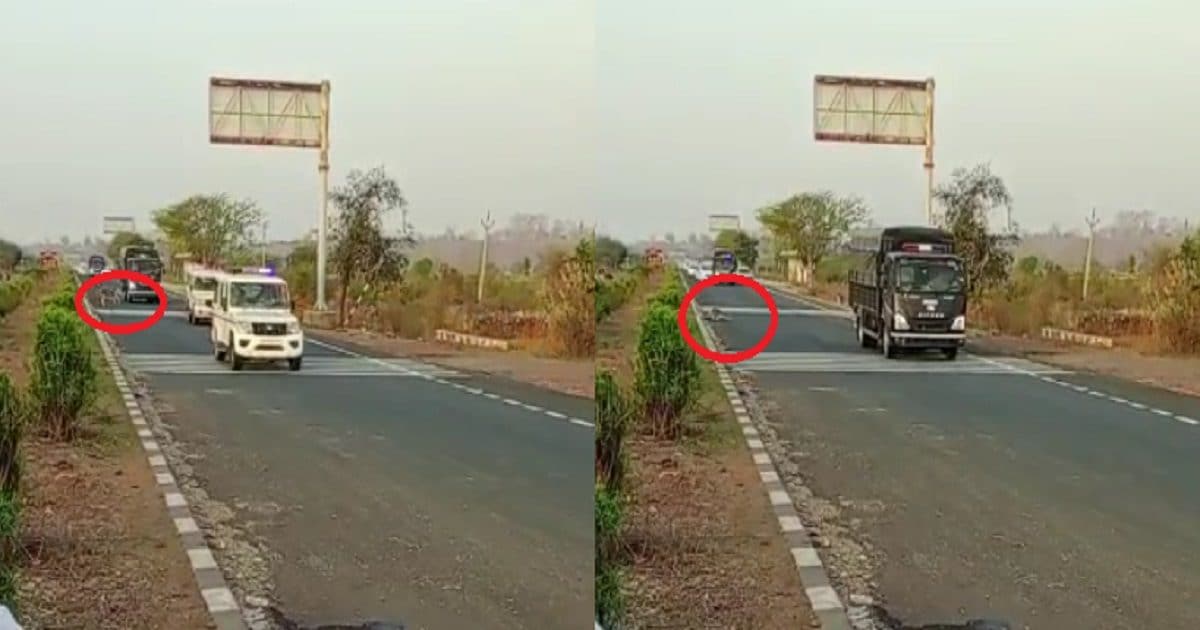 साबरमती टू प्रयागराज: अतीक अहमद के काफिले का हुआ ‘एक्सीडेंट’, हादसे में चली गई एक ‘बेजुबान’ की जान!