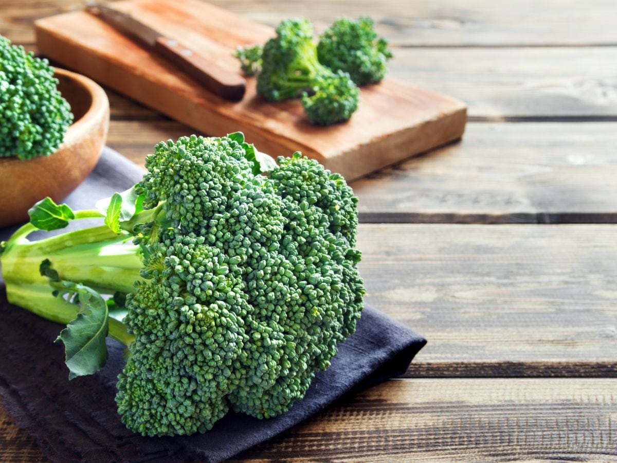 broccoli benefits, research broccoli, stomach related diseases, health benefits of broccoli, research, vegetables, diabetes, cancer, foods for cancer prevention, early signs of cancer, cancer treatment, cancer symptoms, broccoli nutrition, broccoli in cancer treatment, broccoli for cancer, cancer symptoms, ब्रोकली, ब्रोकली के फायदे , पेट संबंधी बीमारियां, ब्रोकली को लेकर रिसर्च में हुआ खुलासा, कैंसर, डायबीटिज, मोटापा, गैस की समस्या, उल्टी, मतली, पेट में गैस बनने का कारण, कैंसर से रोकथाम, कैंसर के लक्षण, ब्रोकली खाने के फायदे,