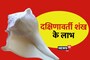 पाना चाहते हैं मां लक्ष्मी की कृपा, घर लाएं आज ही ये शंख, नहीं होगी धन की कमी