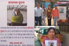 गुम हुआ तोता तो परिवार में मचा हड़कंप, शहर में लगवाए पोस्टर, ढूंढने वाले को मिलेगा 1 हजार रुपये इनाम