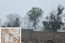 Weather News : दमोह में फिर बिगड़ा मौसम, बारिश के साथ ओले गिरे, कराह उठे किसान