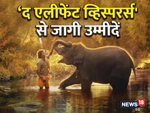 ‘द एलीफेंट व्हिस्परर्स' की सफलता बदलेगी डॉक्यूमेंट्री फिल्मों की सूरत