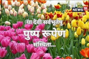 Navratri : मां दुर्गा को बहुत प्रिय हैं ये फूल, मनोकामना पूरी करेंगी देवी अगर हर दिन के हिसाब से चढ़ाएं पुष्प?