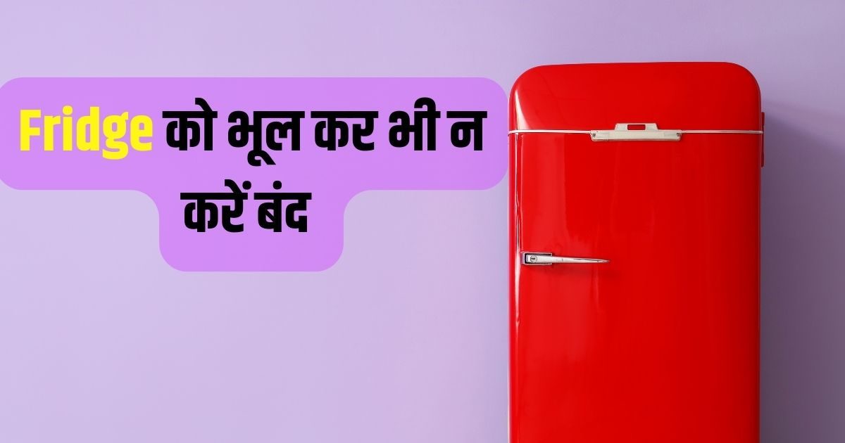 सर्दी हो या गर्मी हर मौसम में करें फ्रिज का इस्तेमाल, भूलकर भी न करें