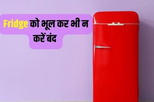 सर्दी हो या गर्मी हर मौसम में करें फ्रिज का इस्तेमाल, भूलकर भी न करें बंद, वरना हो जाएगा बड़ा नुकसान