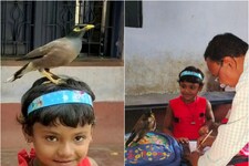 प्यार हो तो ऐसा...अंकिता के साथ स्कूल भी जाता है उसका मिट्ठू