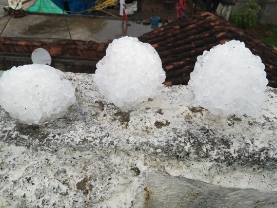 जबलपुर में ओले गिरने से फसलों को व्‍यापक पैमाने पर नुकसान पहुंचा है. (न्‍यूज 18 हिन्‍दी)