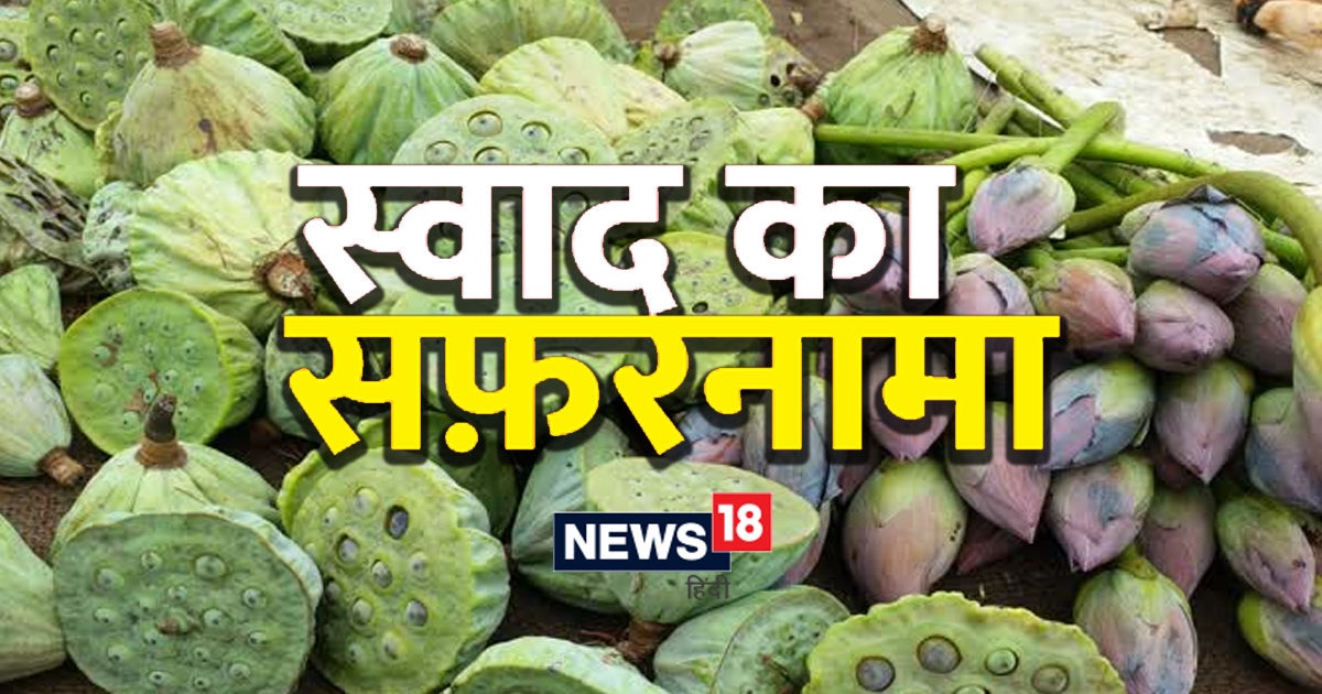 Lotus Cucumber keeps the digestive system healthy, is included in food