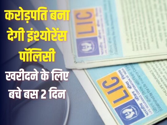 एलआईसी धन वर्षा पॉलिसी को बस 31 मार्च तक खरीद सकते हैं. (photo-shutterstock/news18)