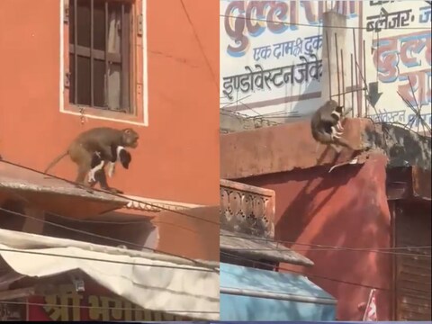  इस नज़ारे को देखकर रास्ते में चलते हुए लोग भी रुक गए हैं. (Credit- Twitter/@HasnaZarooriHai)