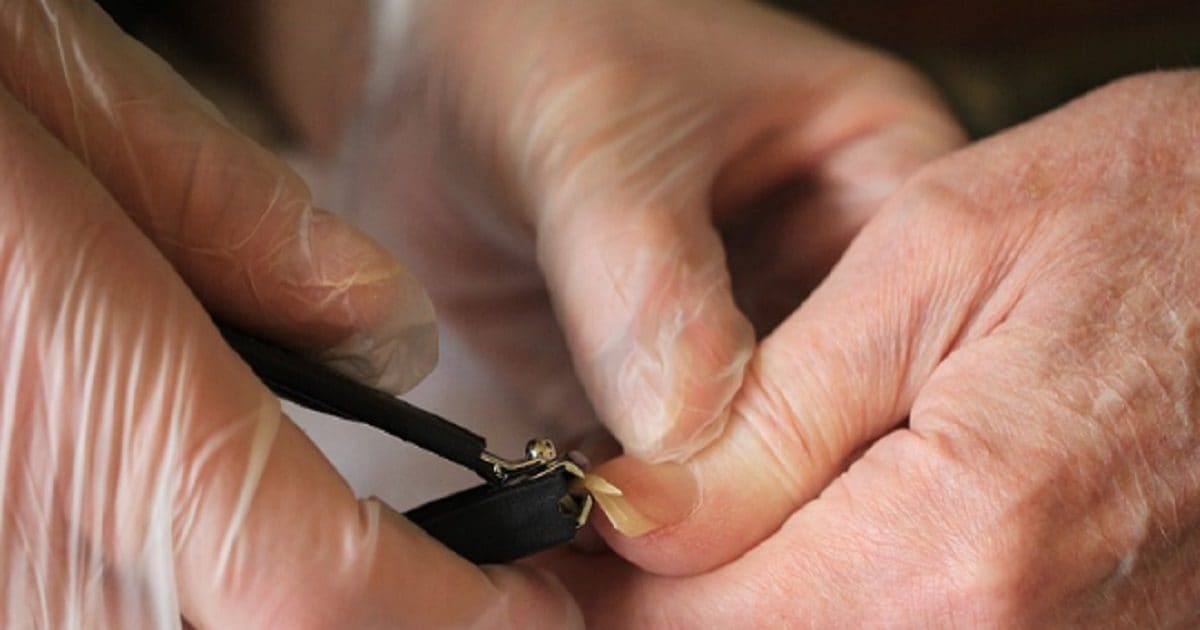 Trending news: Why don't you cut your nails on Saturday and Thursday? Know what is the loss, then you will not make such a mistake - Hindustan News Hub Trending news: Why don't you cut your nails on Saturday and Thursday? Know what is the loss, then you will not make such a mistake - Hindustan News Hub