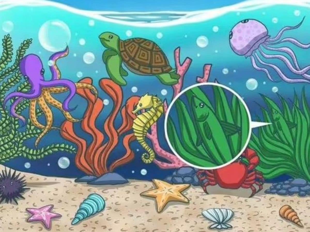 can you spot the fish in this picture, spot the fish in this picture within 8 seconds, optical illusion, Spot the fish, viral puzzle, trending puzzle,