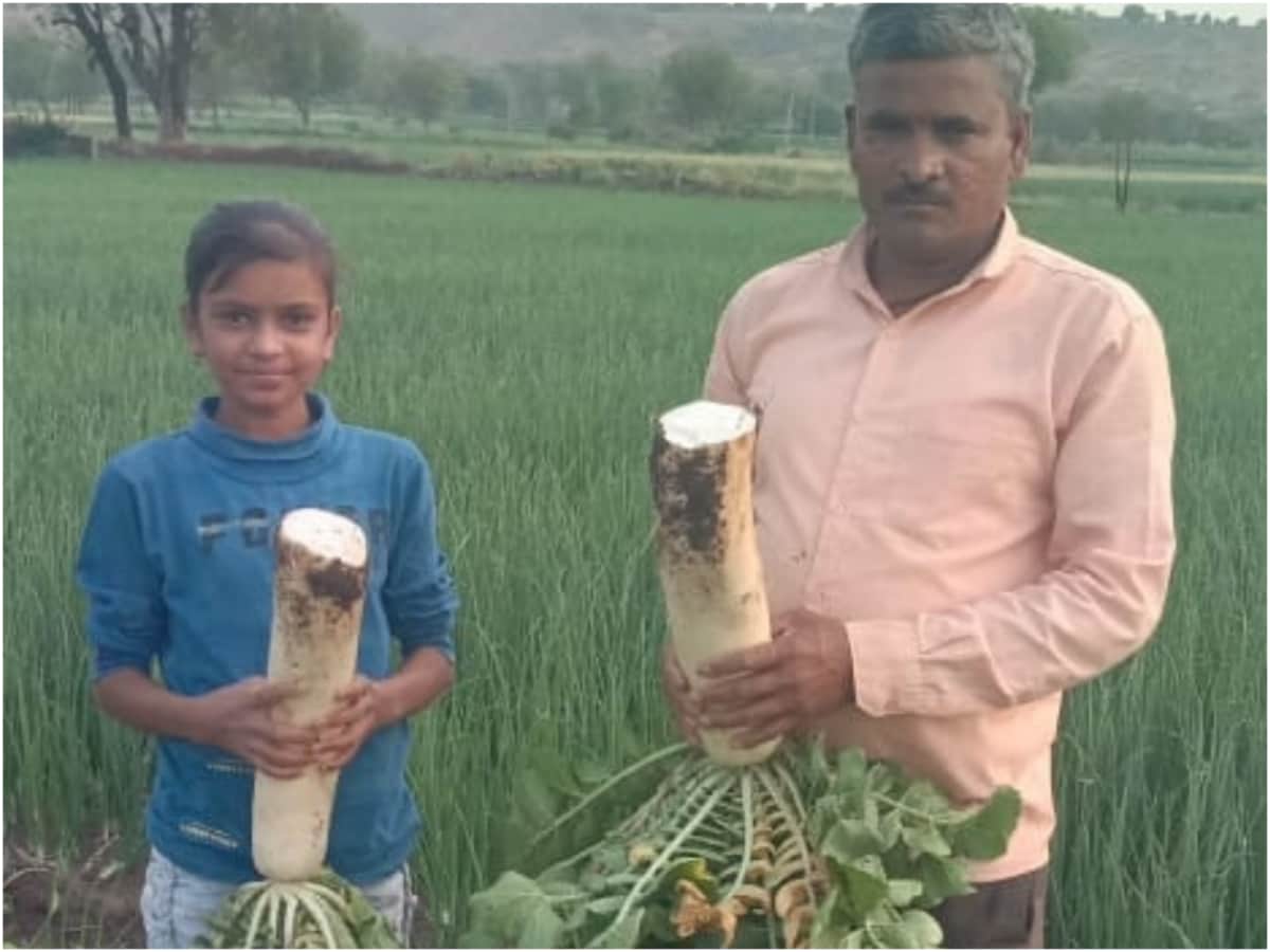 Unique Radish