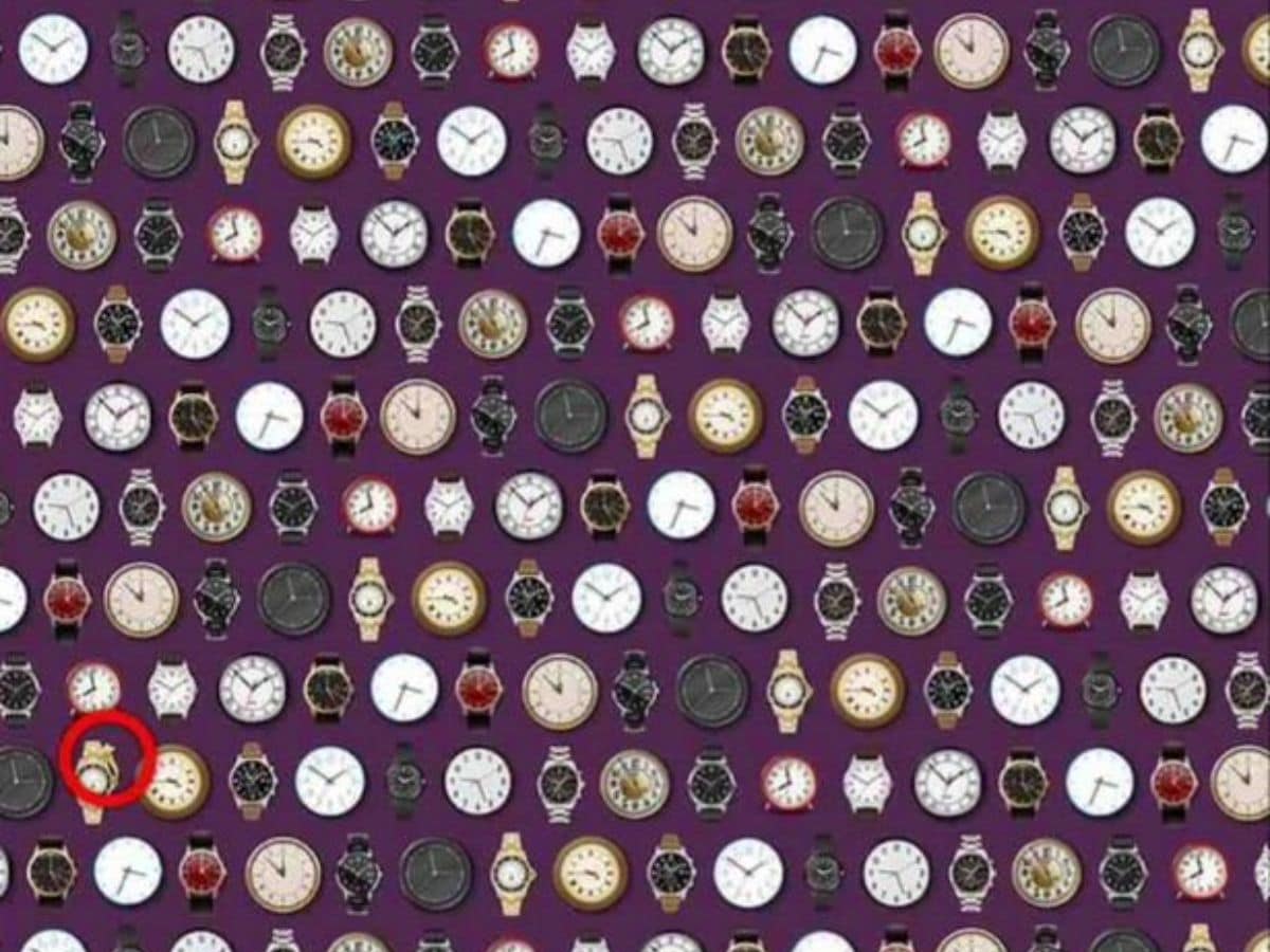 can you spot a ring among watches, spot a ring among watches within 8 seconds, optical illusion challenge, optical illusion