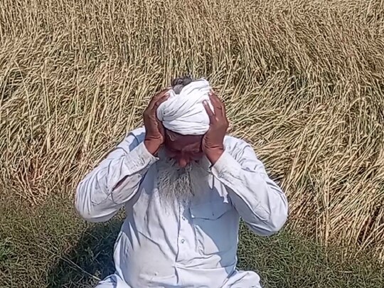 श्‍योपुर में बारिश और ओला गिरने से फसलें तबाह हो गईं. बेमौसम बरसात ने किसानों को गंभीर संकट में डाल दिया है. (न्‍यूज 18 हिन्‍दी)