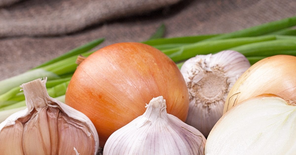 Explainer नवरात्र के दिनों में क्यों ज्यादातर लोग प्याज और लहसुन से