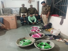 आपने शायद ही देखी होगी कछुए की ऐसी दुर्लभ प्रजातियां, पुलिस भी हुई हैरान!