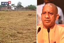 बेमौसम बरसात से गेहूं की फसल हुई बर्बाद, योगी सरकार ने क‍िसानों के ल‍िए ल‍िया ये बड़ा फैसला