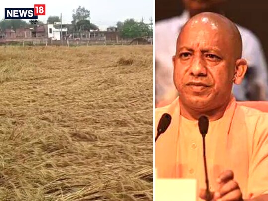 up news: उत्तर प्रदेश में बेमौसम हुई बारिश से भले ही आम इंसान को गर्मी से राहत पहुंची है, लेकिन इस बरसात ने किसानों की कमर तोड़ दी है. 
