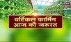 Vertical Farming | जानिए वर्टिकल फार्मिंग तकनीक, क्या हैं इसके फायदे? | Annadata News | Agriculture