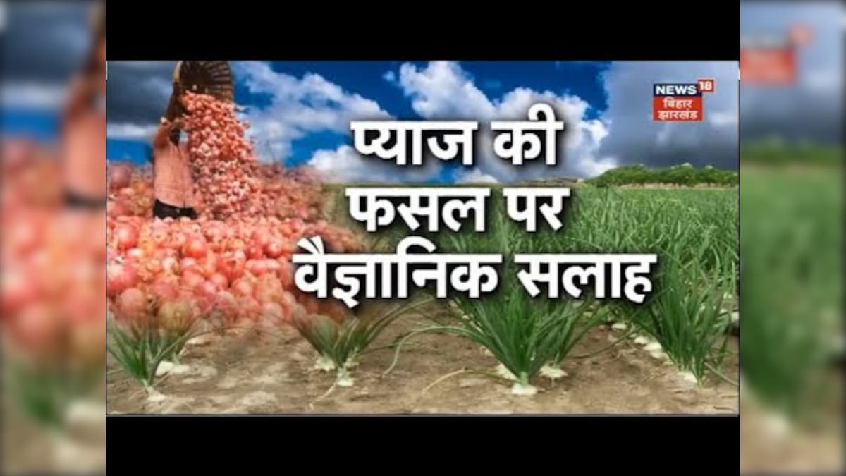 Annadata प्याज की खेती कैसे करें? यहां जानें । Onion Farming In Hindi