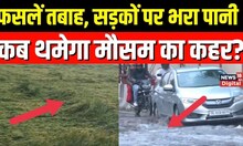 Weather Update: Delhi NCR और आसपास के इलाकों में क्या है rain forecast? IMD Scientist ने क्या बताया?