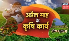 Annadata | अप्रैल माह में कृषिगत किये जाने वाले जरूरी कार्य | Farming | Latest News | Agriculture