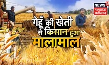 Annadata | वैज्ञानिक तकनीकों को अपनाकर किसान कर रहे हैं गेहूं की खेती | Latest News| Farming| News18