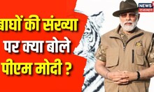 PM Modi In Mysore : देश में बाघों की संख्या में भारी इजाफा, Mysore में PM Modi ने क्या-क्या कहा ?