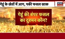 UP में गेहूं की फसल जलकर खाक, जिम्मेदार कौन ? Top News I Breaking News I Fire In Wheat Field