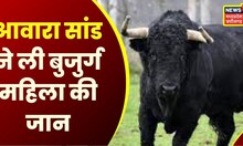 Durg : चोट लगने से बुजुर्ग महिला की मौत | Bison Attack | Hindi News | CG News | Latest News