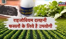 Annadata | दलहनी फसलों में राइजोबियम का क्या है महत्व ? | Agriculture News | Farming | Top News