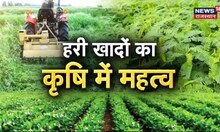 Green Manure | हरी खादों की खेती के क्या है फायदे जानिए | Annadata