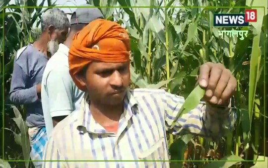 मक्के