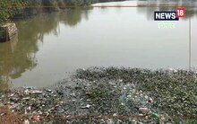 Chitrakoot News : बुंदेलखंड में सरोवरों का बुरा हाल, जानवरों के पीने लायक नहीं तालाब का पानी, जानिए पूरी खबर