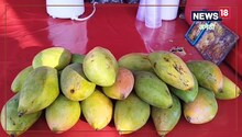 आम का जूस पीने वाले सावधान! सेहत के लिए हानिकारक, जानें एक्सपर्ट की राय...