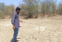 Snake Catcher : बिजली की रफ्तार से भी तेज काटने वाले सांपों को पकड़ता है यह युवा, 4 साल में पकड़ चुका है 3500 सांप