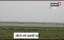 घर वापसी! लौटते लगे ये चार महीने के परदेसी मेहमान, इस सीजन में इनकी आखिरी झलक, देखें VIDEO