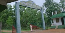 Good News: भारत का दूसरा बेस्ट टाइगर रिजर्व बना सतपुड़ा टाइगर रिजर्व, बेहतर प्रबंधन से हासिल हुई उपलब्धि
