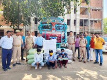 ट्रक से 319 किलो गांजा बरामद, ओडिशा से प्रयागराज ले जा रहे 3 तस्कर गिरफ्तार