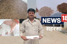Saharsa: काले धान के चावल से मालामल हो रहे किसान! बिरयानी के लिए बेस्ट; दो गुना मिलता है रेट
