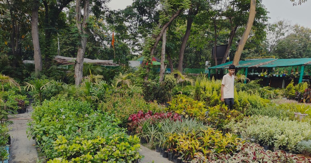 Jamshedpur News गर्मी से बचने के लिए छत पर बनाएं गार्डन, यहां मिलेंगे 500 से ज्यादा वैरायटी के